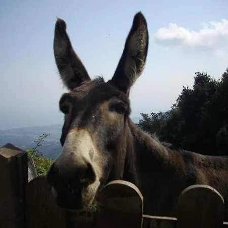 Sole E Ventu Nyaraló *